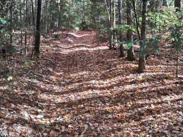 Land for sale in Eden, Lamoille County
