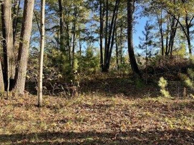 Land for sale in Spruce, Michigan