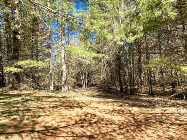 Land for sale in Spruce, Michigan