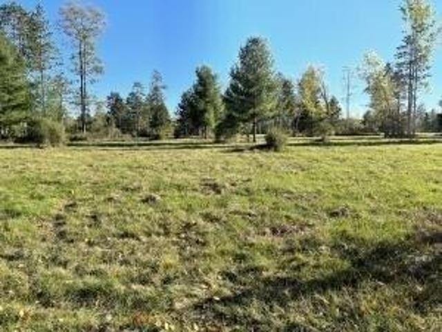 Land for sale in Spruce, Michigan