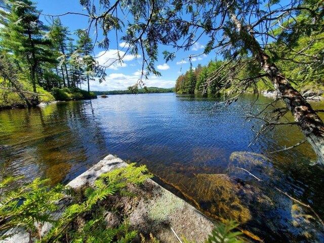 Land for sale in Maine