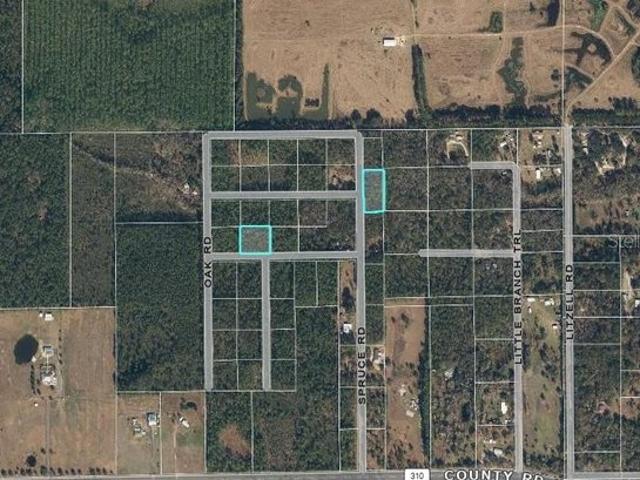 Land for sale in Interlachen, Putnam County