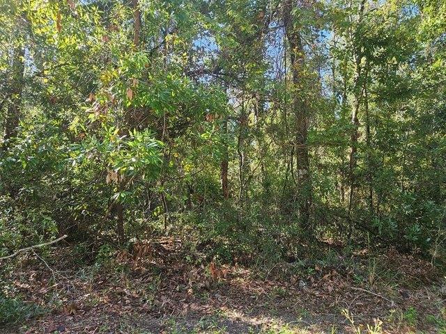 Land for sale in Fort White, Columbia County