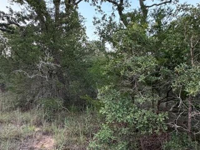 Land for sale in Paige, Bastrop County