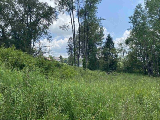 Land for sale in Thomas, West Virginia