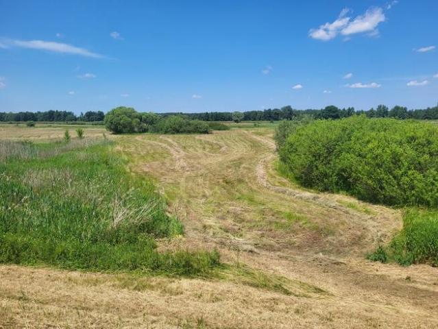 Grunt na sprzedaż w Krzymów, Wielkopolskie