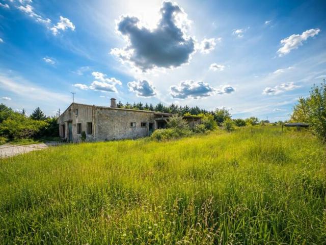 Grunt na sprzedaż w Czernikowo, Kujawsko-pomorskie