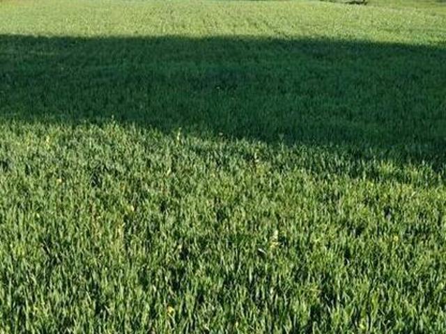 Grunt na sprzedaż w Gródek Nad Dunajcem, Małopolskie