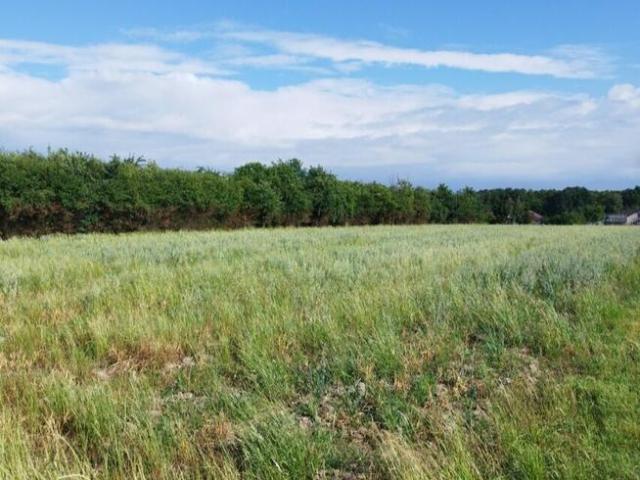 Grunt na sprzedaż w Dąbrowa Tarnowska, Małopolskie