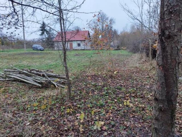 Dom na sprzedaż w Dzierzgoń, Pomorskie