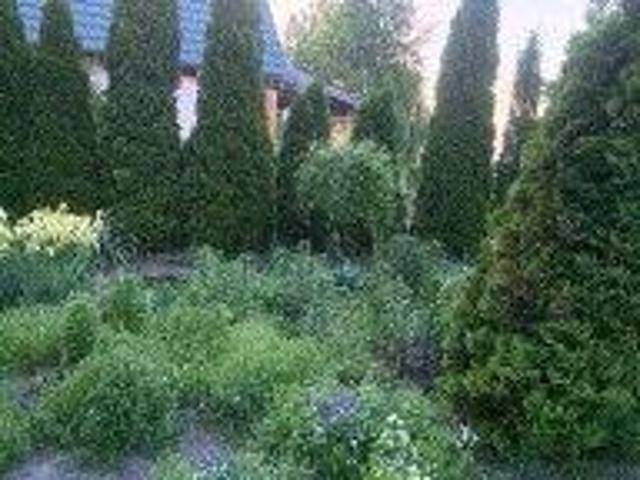 Grunt na sprzedaż w Podedwórze, Lubelskie