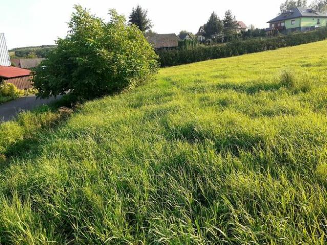 Grunt na sprzedaż w Dębno, Małopolskie