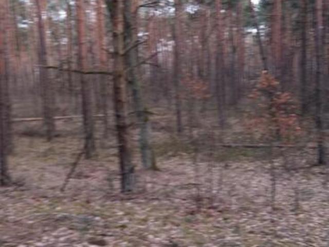 Grunt na sprzedaż w Nieporęt, Mazowieckie