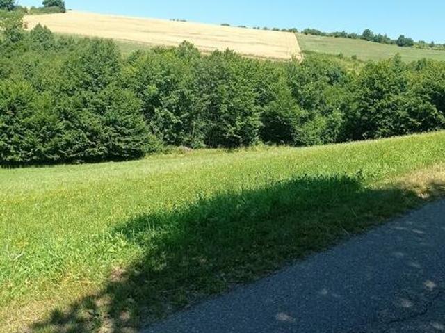Grunt na sprzedaż w Gródek Nad Dunajcem, Małopolskie