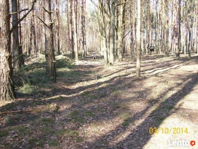 Grunt na sprzedaż w Nieporęt, Mazowieckie