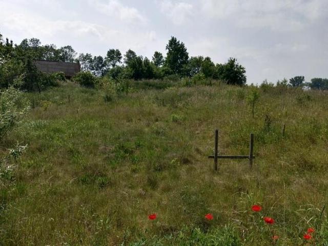 Grunt na sprzedaż w Kłecko, Wielkopolskie