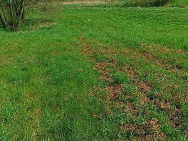 Grunt na sprzedaż w Kamionka, Lubelskie