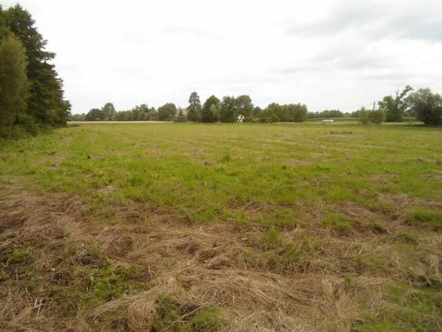 Grunt na sprzedaż w Chełmno, Kujawsko-pomorskie
