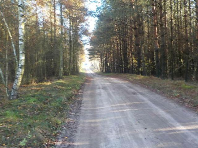 Grunt na sprzedaż w Wąbrzeźno, Kujawsko-pomorskie
