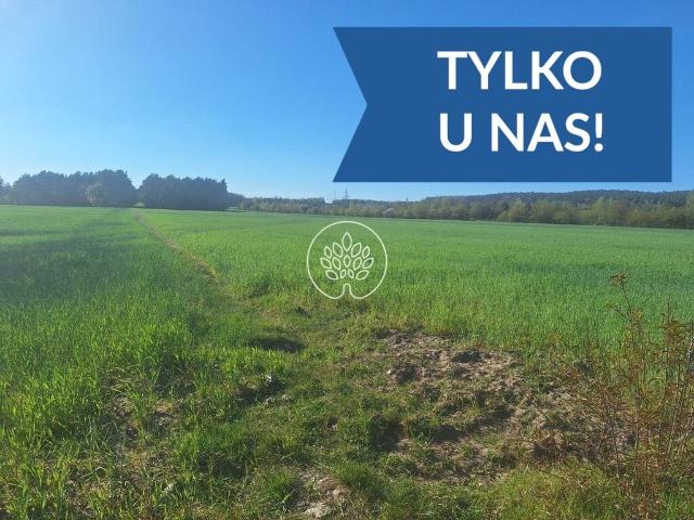 Grunt na sprzedaż w Serock, Mazowieckie