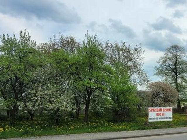 Grunt na sprzedaż w Lgota Wielka, Łódzkie