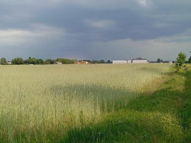 Grunt na sprzedaż w Płońsk, powiat płoński