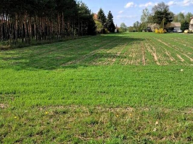 Grunt na sprzedaż w Radzyń Podlaski, Lubelskie