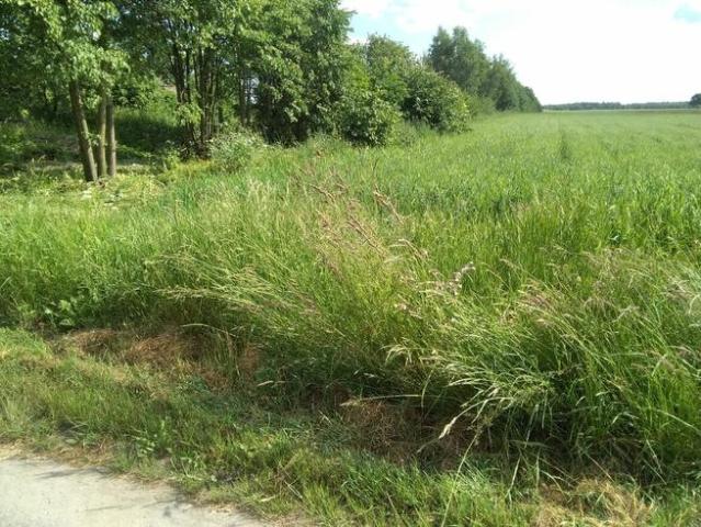 Grunt na sprzedaż w Rzeczniów, Mazowieckie