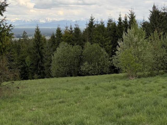 Grunt na sprzedaż w Jabłonka, Małopolskie