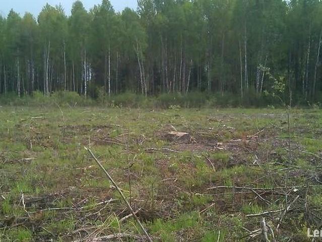 Grunt na sprzedaż w Pysznica, Podkarpackie
