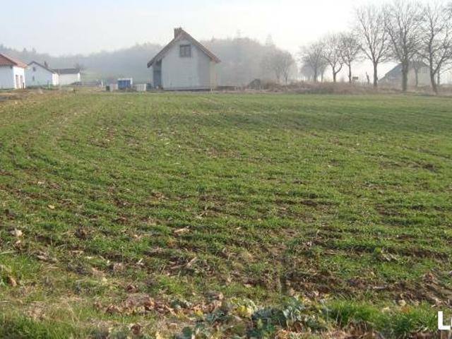 Grunt na sprzedaż w Żarów, Dolnośląskie