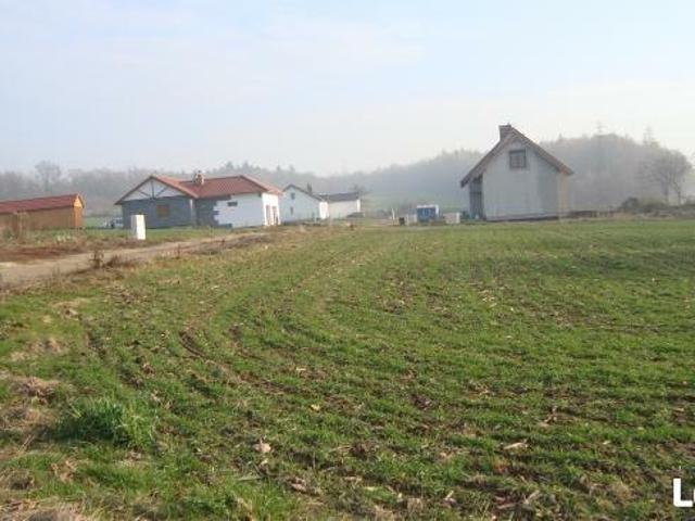 Grunt na sprzedaż w Żarów, Dolnośląskie