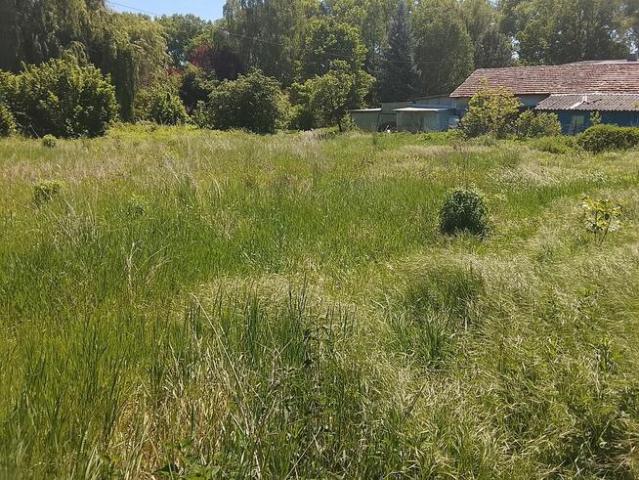 Grunt na sprzedaż w Strzelin, Dolnośląskie