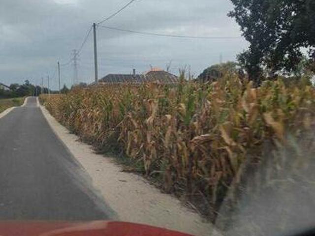 Grunt na sprzedaż w Wąbrzeźno, Kujawsko-pomorskie