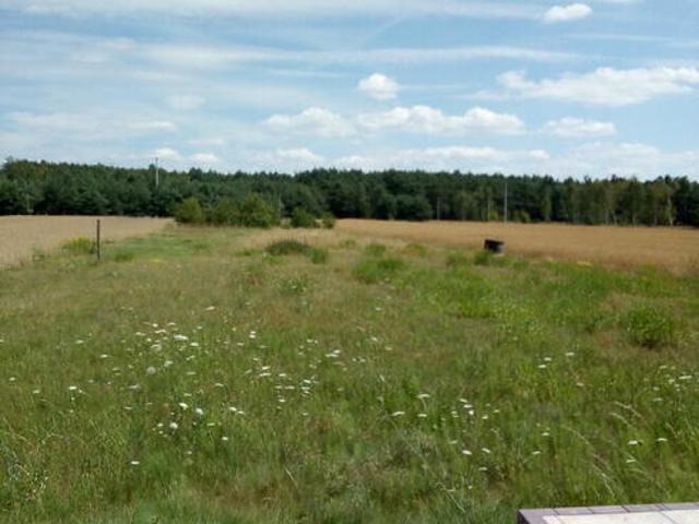 Grunt na sprzedaż w Golina, Wielkopolskie