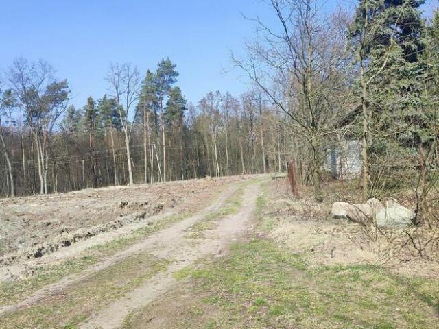 Grunt na sprzedaż w Grabów Nad Pilicą, Mazowieckie