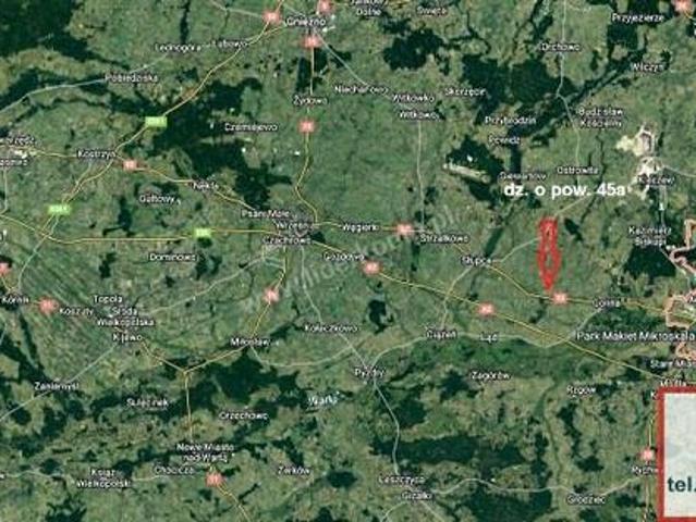Grunt na sprzedaż w Słupca, Wielkopolskie