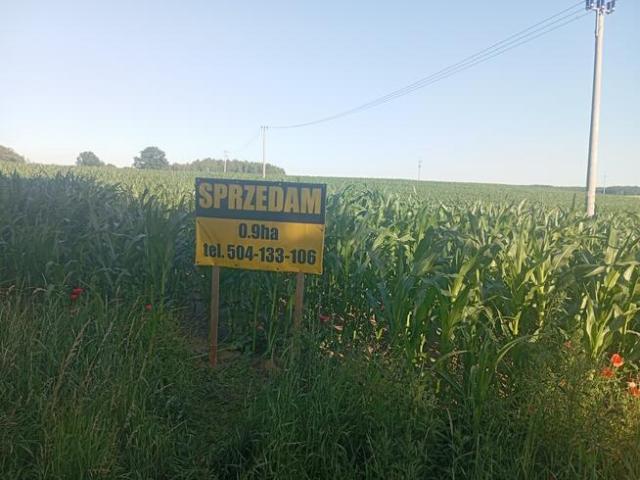 Grunt na sprzedaż w Stary Dzierzgoń, Pomorskie