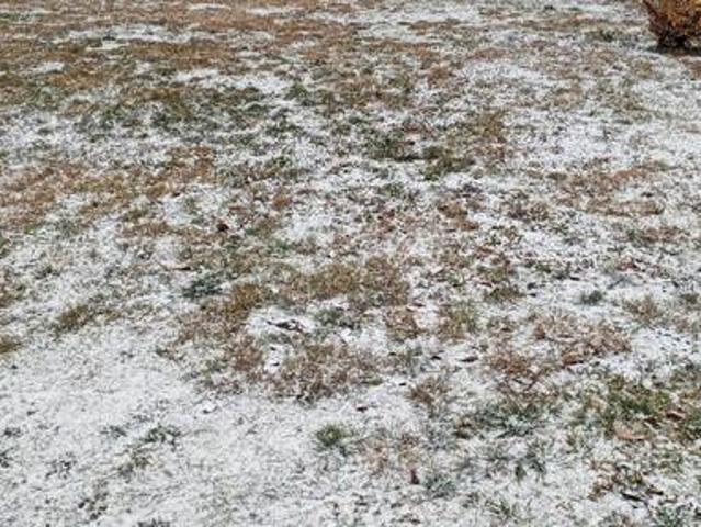 Grunt na sprzedaż w Jelcz-laskowice, Dolnośląskie