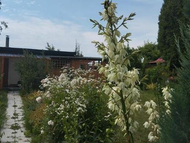 Grunt na sprzedaż w Bytom, Śląskie