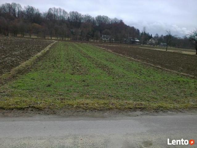 Grunt na sprzedaż w Połaniec, Świętokrzyskie