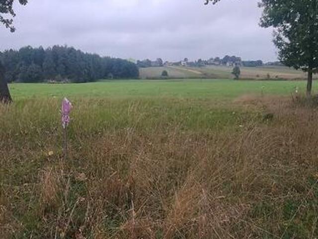 Grunt na sprzedaż w Nagłowice, Świętokrzyskie