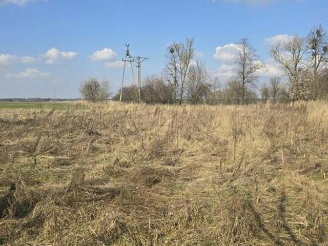 Grunt na sprzedaż w Byczyna, Opolskie