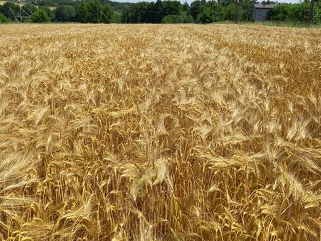 Grunt na sprzedaż w Bielsko-biała, Śląskie