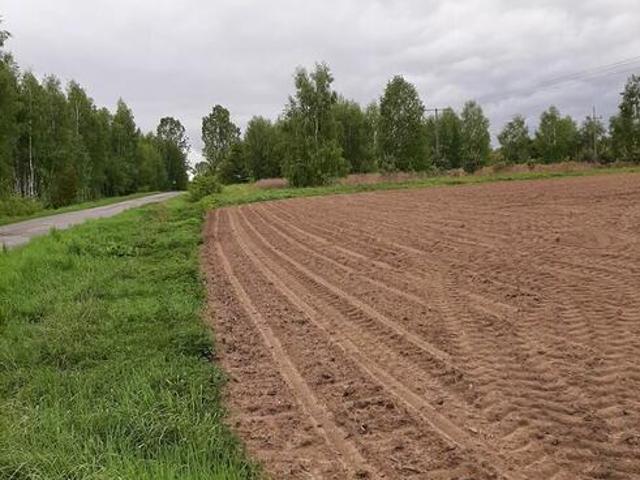 Grunt na sprzedaż w Rejowiec, Lubelskie