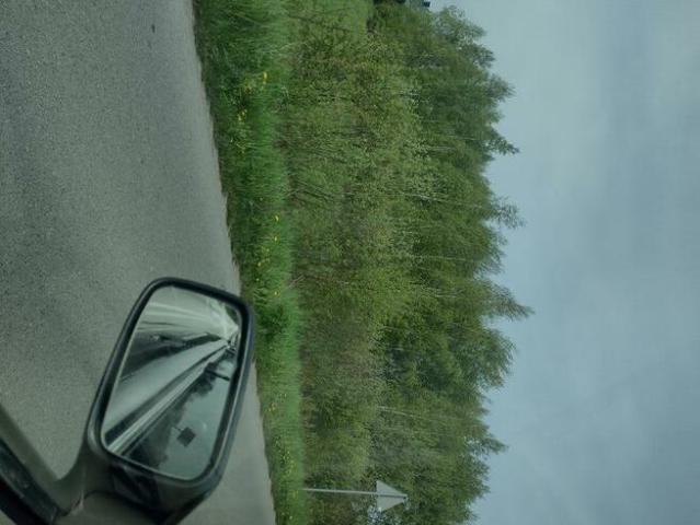 Grunt na sprzedaż w Urszulin, Lubelskie
