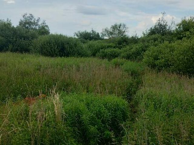 Grunt na sprzedaż w Puławy, Lubelskie