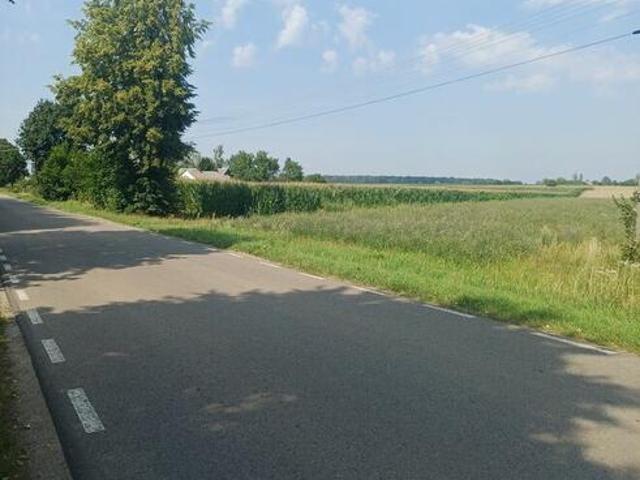 Grunt na sprzedaż w Policzna, Mazowieckie