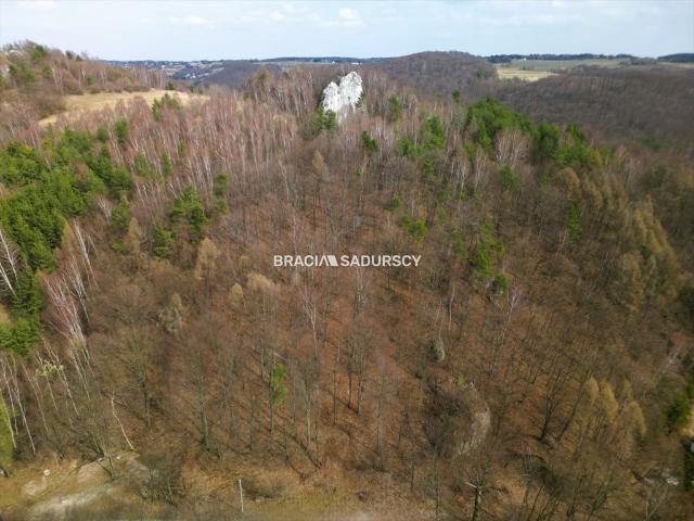 Grunt na sprzedaż w Jerzmanowice-przeginia, Małopolskie
