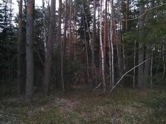 Grunt na sprzedaż w Chełm, Lubelskie
